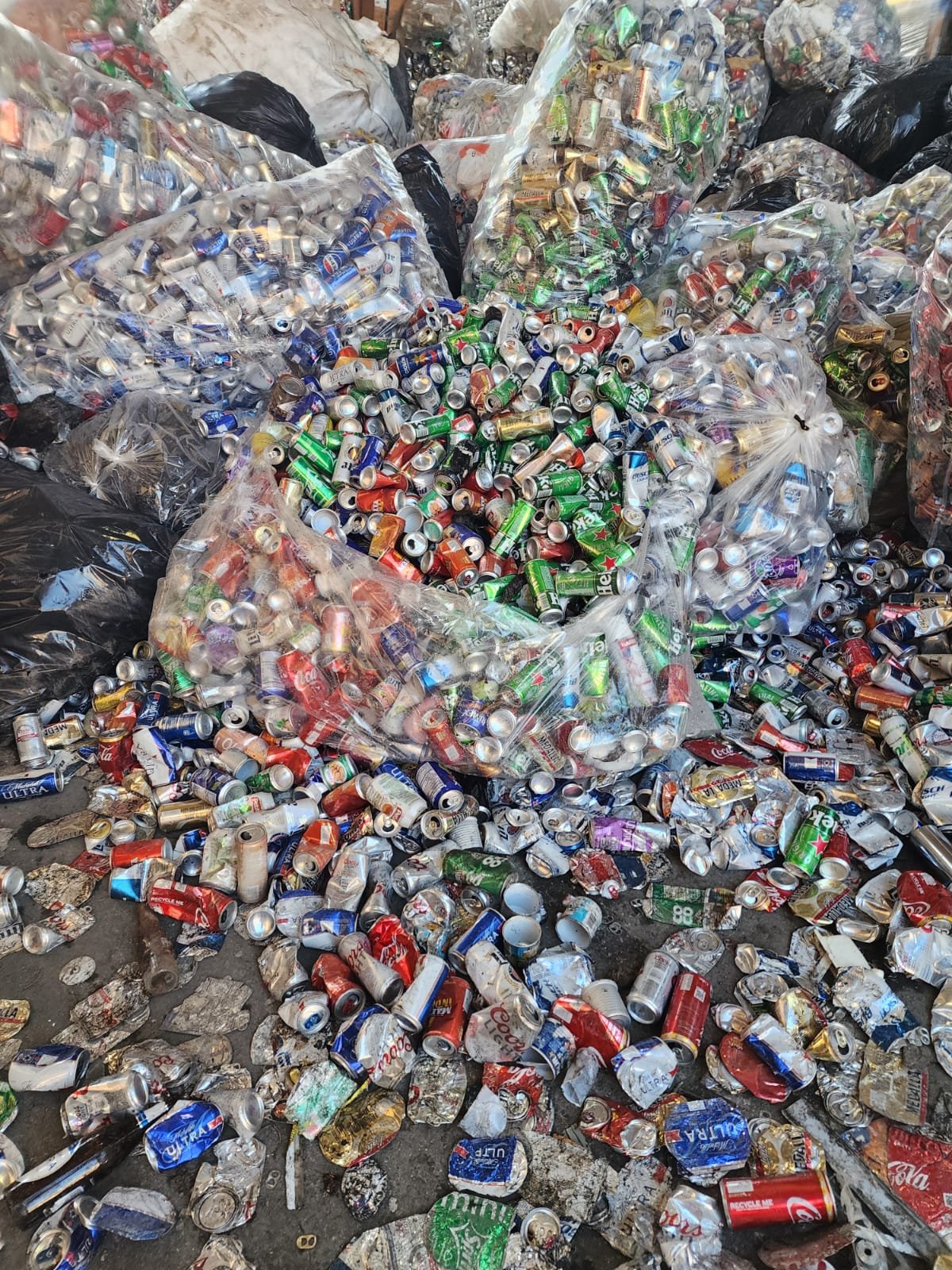 WhatsApp Image 2025-12-08 at 9.59.15 AM (1)