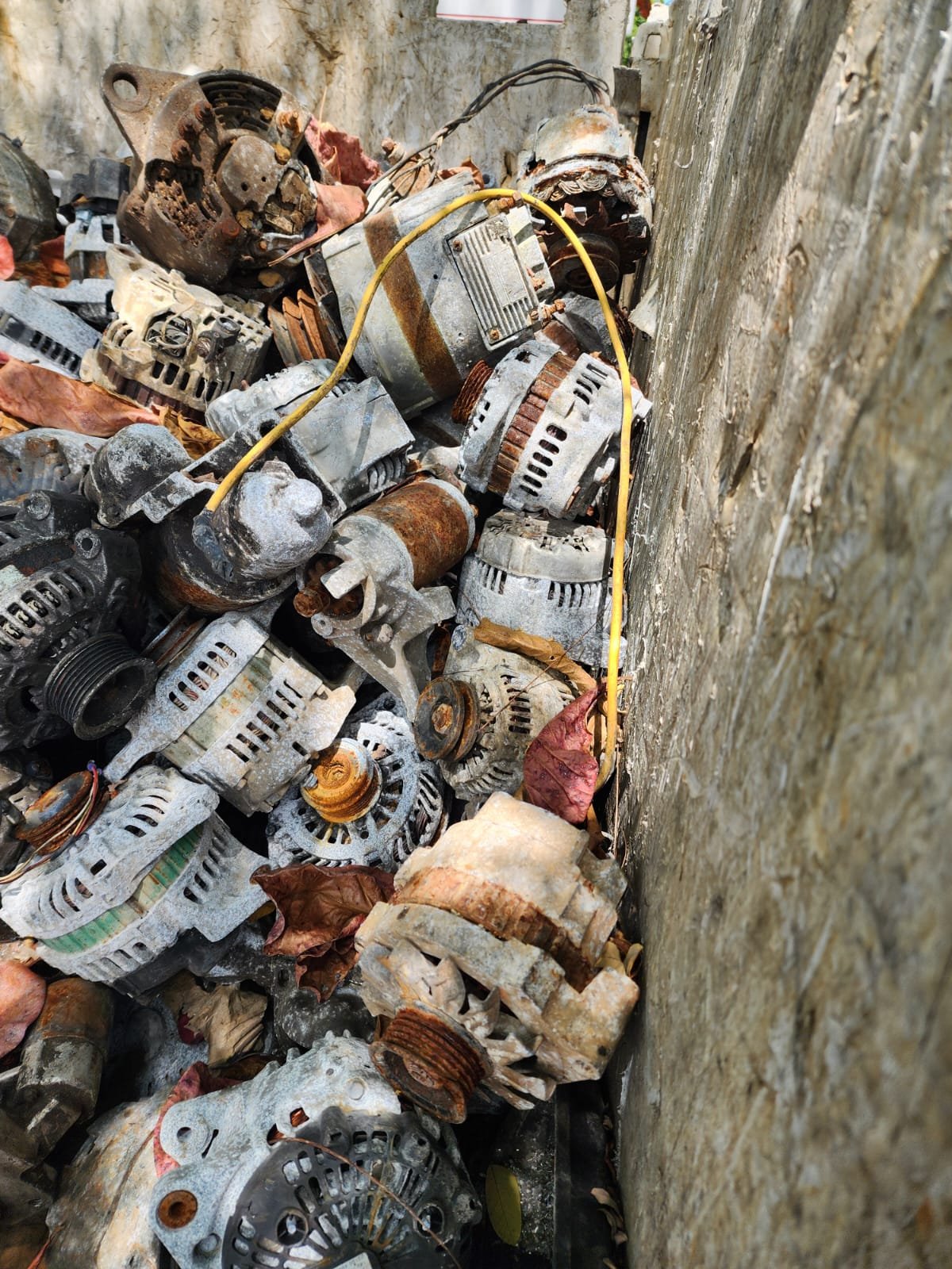 WhatsApp Image 2025-12-08 at 9.59.15 AM (2)